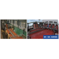 Fruit Lifting Washing Sorting Combiner